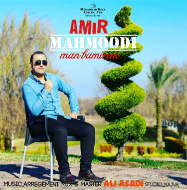 امیر محمودی من بمیرم